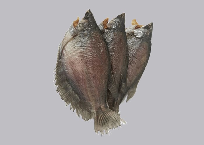 kho-ca-sac-lat
