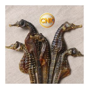 canguakho.vn